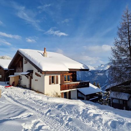 Appartement Bettmeralp Chalet Zendorn Extérieur photo