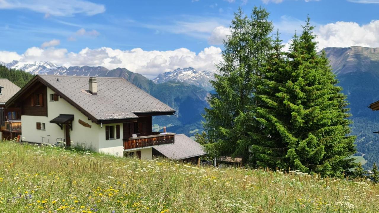 Appartement Bettmeralp Chalet Zendorn Extérieur photo