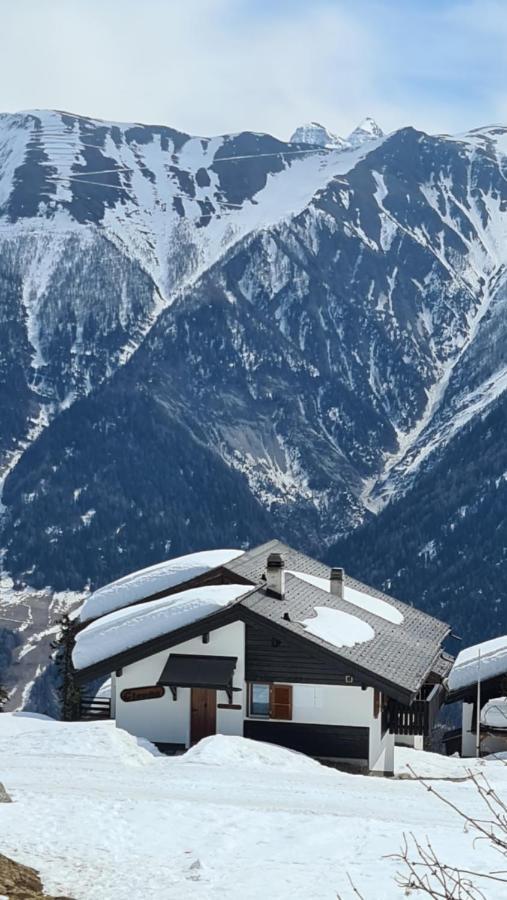 Appartement Bettmeralp Chalet Zendorn Extérieur photo