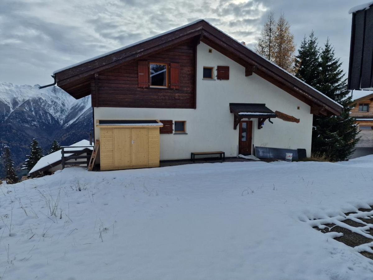 Appartement Bettmeralp Chalet Zendorn Extérieur photo