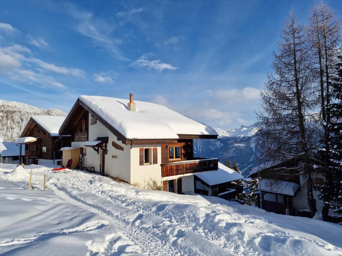 Appartement Bettmeralp Chalet Zendorn Extérieur photo